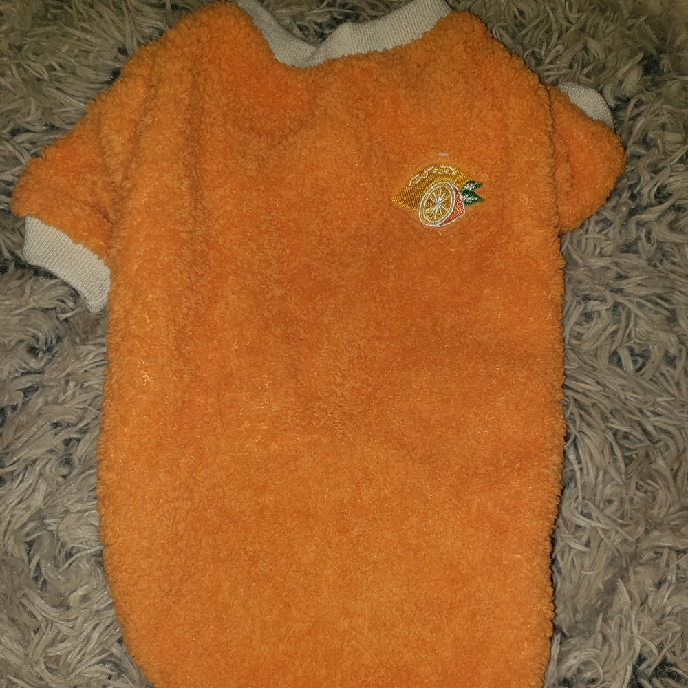 Fuzzy dog sweater